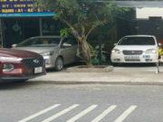 Giấy phép lái xe bắt đầu học mới 2025 Bạn nên biết