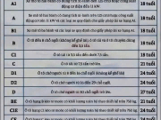 15 HẠNG GIẤY PHÉP LÁI XE MỚI TỪ 1/1/2025