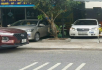 Giấy phép lái xe bắt đầu học mới 2025 Bạn nên biết