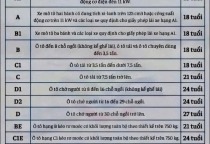 15 HẠNG GIẤY PHÉP LÁI XE MỚI TỪ 1/1/2025