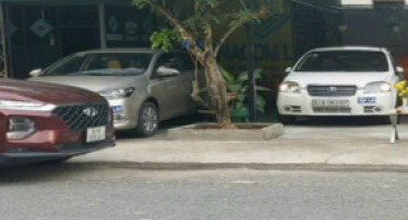 Giấy phép lái xe bắt đầu học mới 2025 Bạn nên biết