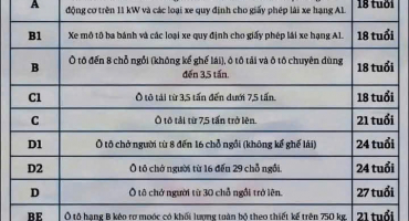 15 HẠNG GIẤY PHÉP LÁI XE MỚI TỪ 1/1/2025
